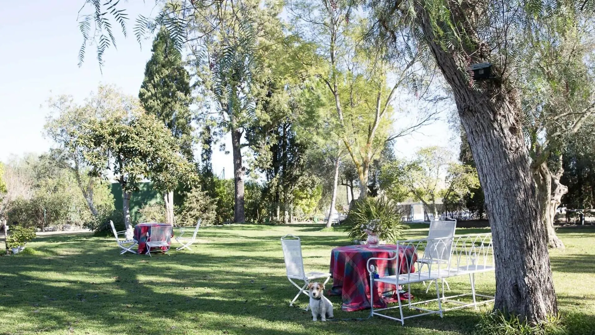 Holiday home Cortijo Rural La Mariscala Villa Trebujena